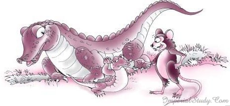 Chapter 9 What Happened to the Reptiles  NCERT Class VI English