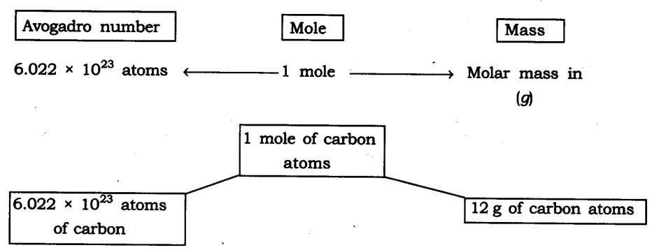 ncert-solutions-for-class-9-science-atoms-and-molecules-6
