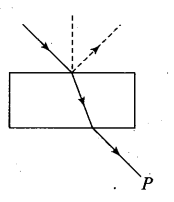 ncert-exemplar-problems-class-12-physics-wave-optics-1