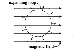 ncert-exemplar-problems-class-12-physics-electromagnetic-induction-13