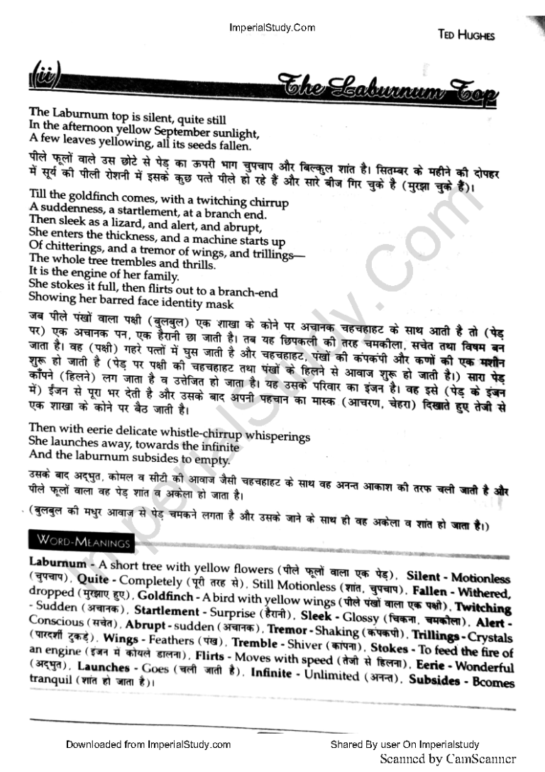 Hindi Summary Of The Voice Of The Rain Class 11th Chapter 5 (Poem)