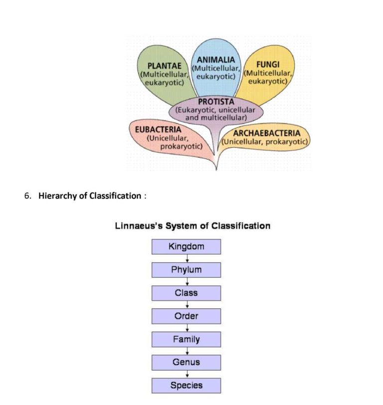 Diversity in Living Organisms Notes Class 9th Science Chapter 7