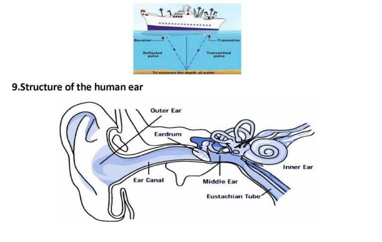 Sound Notes Class 9th Science Chapter 12